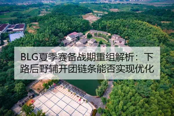 BLG夏季赛备战期重组解析：下路后野辅开团链条能否实现优化