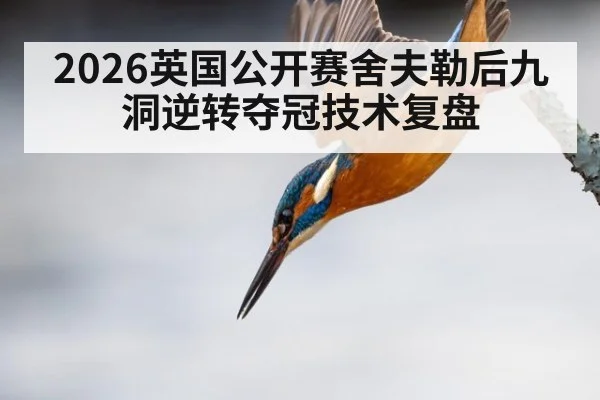2026英国公开赛舍夫勒后九洞逆转夺冠技术复盘 - jiuyouhui