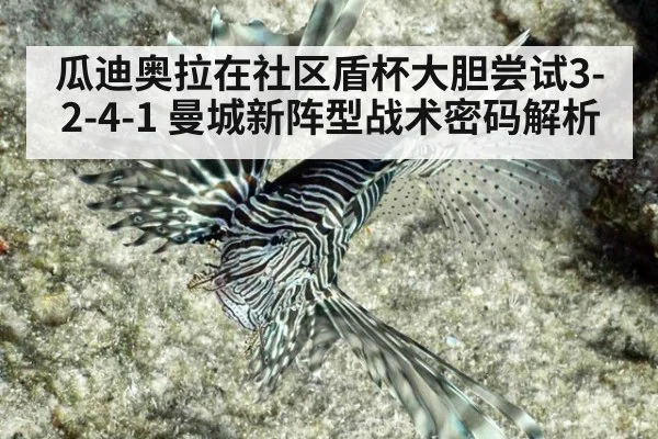 瓜迪奥拉在社区盾杯大胆尝试3-2-4-1 曼城新阵型战术密码解析 | jiuyouhui