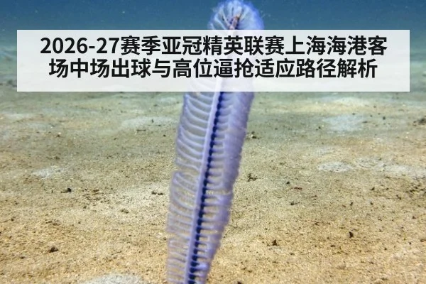 2026-27赛季亚冠精英联赛上海海港客场中场出球与高位逼抢适应路径解析
